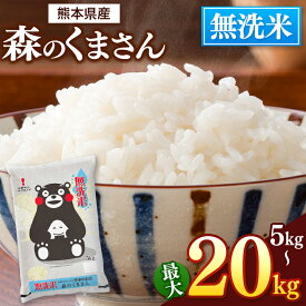 無洗米 九州 どまんなか熊本のお米 森のくまさん 5kg （5kg×1）～ 20kg （5kg×4） 送料無料