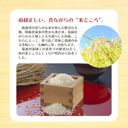 熊本県産七城のこめ10kg(5kg×2袋）白米おうち時間送料無料