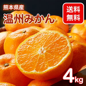 _3,980~OFFN[|^ys\z ƒp ݂ 4kg 5kg 10kg y10{菇zF{ ʕ t[c  ~J KiO Yn  lC lC B݂ B~