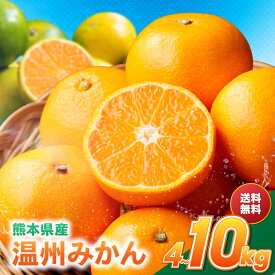 【収穫・選果後に発送】みかん 訳あり 熊本県産 温州みかん 約4kg・5kg・10kg 家庭用 キズ・スレ・サイズ不揃い 産地直送 送料無料 蜜柑 ミカン 秋冬の果物 箱買い