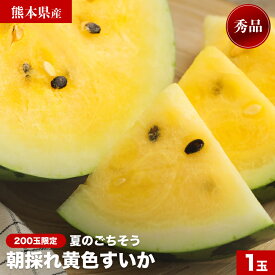 【先行予約！6月頃より順次出荷スタート！】小玉スイカ 熊本県産 黄色スイカ 2玉セットが断然お得！すいか スイカ 西瓜 ギフト プレゼント お中元 果物 フルーツ 国産 限定価格 希少 200玉限定 朝採れ 農家さん直送