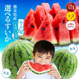 【先行予約！小玉4月中旬～大玉5月上旬頃より発送開始！】朝採れスイカ 選べる [小玉] or [大玉] or [小玉訳あり] 1玉 2玉 熊本 スイカ王国 熊本県産 小玉スイカ 大玉スイカ すいか 甘い 送料無料 【朝採れ新鮮農家さん直送スイカ】
