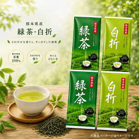 お茶 熊本県相良村産 緑茶・白折 さがら茶70g×3本入 Kuma cha40g×5本入 ティーバッグ5袋 選べるセット 国産 煎茶 茶葉 一番茶 自園自製 お取り寄せ 送料無料 日本茶 白折茶 さがらちゃ 食後のお茶 ご自宅用 贈り物 ティータイム