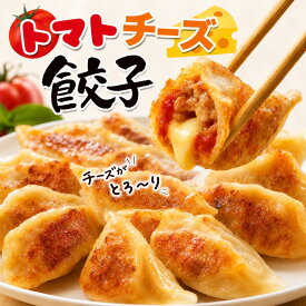 【ご家庭用】トマトチーズ餃子 60個入り 80個入り 100個入り 120個入り 送料無料 タレなし餃子 焼餃子 餃子 冷凍食品 トマト チーズ 中華 グルメ 簡単 中華料理 おかず 訳あり 家庭用 新商品 オリジナル 食品 ギョウザ ぎょうざ お取り寄せ チーズ 国産 ビール 黒豚 お試し