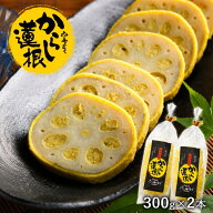 からし蓮根 熊本名物 小箱180g×2箱・L300g×2本 選べる1回お届け・全3回頒布会 辛子蓮根 からしれんこん…