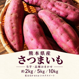 さつまいも 熊本県産 生芋 選べる約2kg・5kg・10kg 紅はるか・シルクスイート 品種おまかせ 訳あり 不揃い 焼き芋用 産地直送 送料無料【2kg×2購入で1kg増量】 サツマイモ さつま芋 焼いも 蒸し芋 天ぷら 大学芋 芋のお菓子