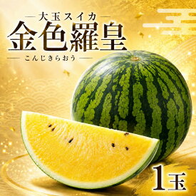 【先行予約・40玉限定】スイカ 金色羅皇 熊本県産 大玉 黄色スイカ 黄金色の果肉 すいか 西瓜 国産 フルーツ 果物 産地直送 送料無料 ギフト 贈り物 きんいろらおう お取り寄せ 希少品種 大玉すいか プレゼント 家族で楽しむ