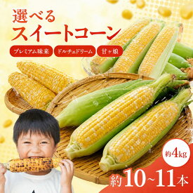 【先行予約】とうもろこし 熊本県産 約4kg 甘々娘・ドルチェドリーム・プレミアム味来 選べるスイートコーン 菊陽町 中村農園 トウモロコシ 野菜 送料無料 コーン とうきび 旬の野菜 茹でとうもろこし 焼きとうもろこし BBQ