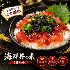 【訳なし】海鮮丼の素 4種セット!! | 海鮮丼 小分け セット ねぎとろ サーモン 鉄火丼 漬け丼 まぐろ 海鮮の具 海鮮セット 海鮮丼 セット 海鮮 詰め合わせ 4種盛り 取り寄せ 冷凍 送料無料 自然解凍 ギフト