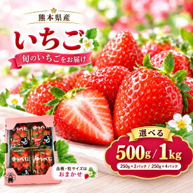 【先行予約】いちご 熊本県産 選べる約500g・1kg 250g×2パック・4パック 苺 イチゴ 国産 フルーツ 果物 クール便 送料無料 ご家庭用 お取り寄せ ストロベリー 季節の果物 デザート おやつ ヨーグルト 朝食 冬の味覚 ケーキの飾り付け