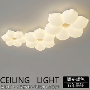 y5Nۏ؁z V[OCg LED    rO Q q kch 68101214 F Rt dC Ɩ ^  VƖ X}z Ce