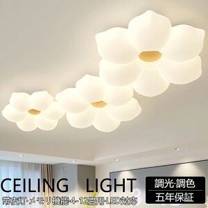 y5Nۏ؁z V[OCg LED    rO Q q kch 6 8101214 F Rt dC Ɩ  VƖ X}z CeAƖ 