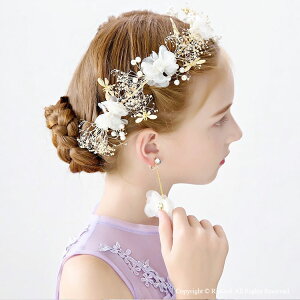 q  \ wbhhX  ԃJ`[VsAXZbg wbhhX q J`[V CO wAANZT[ q t[eBA wA[oh wAA