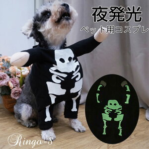 nEB  ybgp RX`[ XPg 2_Zbg    nEB RXv ʔ ybg RXv 񑫕s Xqt  L q  XJp^[ WvX[