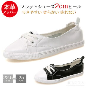 U[Xj[J[  fB[X Xj[J[ fB[X ꂢ   y b [XAbvV[Y fB[X {v Xj[J[ tbgV[Y ₷ q w ʊw 2cm [