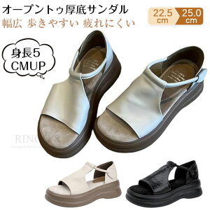 T_ fB[X ₷ 3E  EGbW\[ fB[X T_ 5cm  I[vgD T_  Xb| }WbNe[v y KŔɂ ₷
