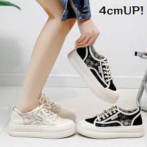 Xj[J[ fB[X  ₷ Xj[J[ [X [XAbv C Z w C fB[XXj[J[  y h ʋC ~ JWAV[Y 