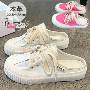  Xj[J[ ƂȂ Xj[J[ fB[X T_ Xj[J[ ƂȂ fB[X T_ Xb| ₷ wlC  3cm T{ Xb| fB[X {v T