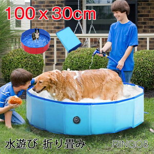 v[ 100x30cm ybgv[ V ܂ ܂肽 oX xr[ v[ ybgpoXObY ybgpoX^u ܂ ^ѕ֗ PVCf t  L poXObY 