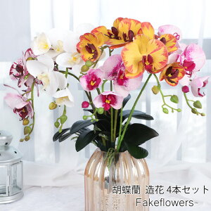 Ӓ  4{Zbg R`E  A[eBtBVt[ CeA ͂Ȃ JXj 蕨 J JX J@ J AC Vz ړ]  j   