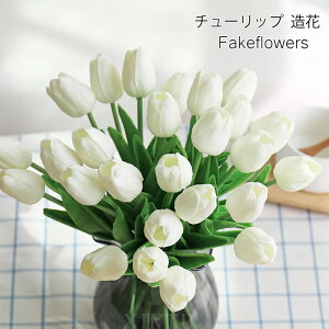  `[bv 20{Zbg A tFCNt[ CeA  k A[eBtBVt[ CeA ͂Ȃ JXj 킢  l ԑ   t