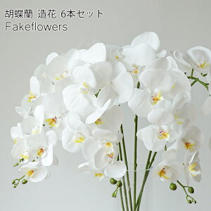 CeA p  Ӓ̉  6{Zbg R`E {̂悤ȎG  ̉ z[fR[V EFfBO A[eBtBVt[ CeA ͂Ȃ J