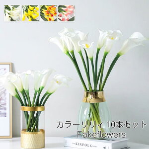 �J���[�����B �z���C�g 10�{�Z�b�g �t�F�C�N�t�����[ �C���e���A ���� �k���� ��� ���� �A�[�e�B�t�B�V�����t�����[ �C���e���A �͂�Ȃ��� �J�X�j�� ���킢�� ������� ��l �ԑ� ���� �� 