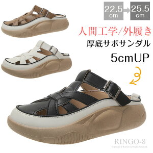 T{T_ fB[X Xb|  ƂȂ T_ O fB[X  T_ ₷ L ʋC y ~ _炩C\[ ϖ JWA r[`T