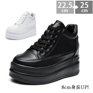 Xj[J[ fB[X nCJbg Xj[J[  Xj[J[ fB[X Cq[ Xj[J[ fB[X  Ȃ Xj[J[ ₷ U JWA CR ҂