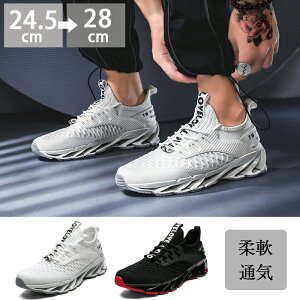 Xj[J[ Y jOV[Y ^C X|[cV[Y ̈كV[Y EH[LOV[Y Y y ʋC WMOV[Y Y NbV ʋ  JWA 