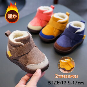 xr[C N ~ [gu[c LbY ̎q j̎q V[gu[c N [g qC 킢 ܎O xr[C  JWAC gC XG[h NX}X w 