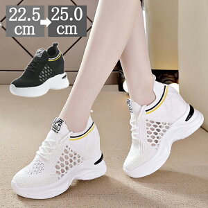 yzfB[X V[Y Xj[J[ Xj[J[ fB[X fB[XXj[J[ V[Y V[NbgV[Y Xj[J[ ubN zCg   C y ₷