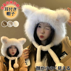 tXq fB[X Xq fB[X H~ t fB[X Xq  hXq Lbv fB[X ~pnbg fB[X Xq h h ۉ ʋC JWA Oo  ӂӂ