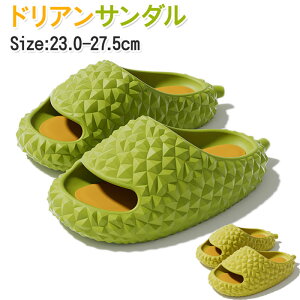 T_   T_ fB[X Y NEhXbp r[`T_  hA [V[Y Xbp 􂦂 T_ Xbp T_ fB[X x