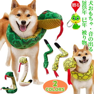   ̏o ʂ wr RXv   N 蕨 ^ ^ ^ ybg 2025N x N N  ʂ XJ[t XgX ނ nEB