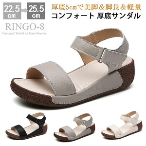 T_ fB[X y RtH[gT_ fB[X  5cm }}T_ rWlXT_ ItBX T_  }WbNe[v ʋC   ʊw ʋ 