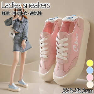 Xj[J[  fB[X EH[LOV[Y X|[c INSlC fB[XV[Y  3cm UP V[Y y ؍ JWA V[Y gAbv  r ₷ 