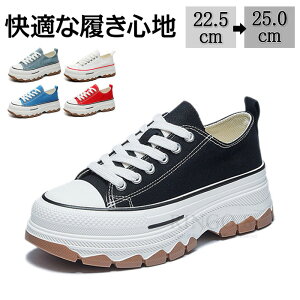  Xj[J[  INSlC _bhXj[J[ fB[XV[Y  6cm UP V[Y y EH[LOV[Y ؍ JWA V[Y gAbv  r 