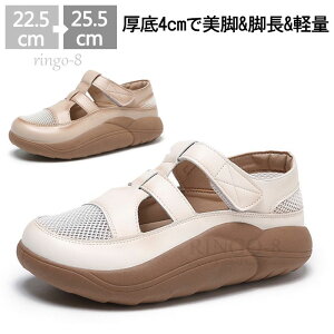 T_ fB[X  ₷ T_ Xb|  C RtH[g JWAV[Y T_  Xj[J[ fB[X y ~ r ʋCK L 