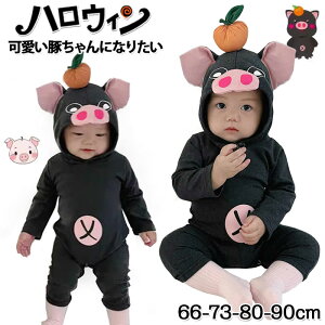 xr[ p[X nEB ؂ Ԃ  nEB[ߑ ʐ^Be pW} [EFA oYj 66 73 80 90 xr[ Jo[I[ Ԃ ̎q j̎q  I[C