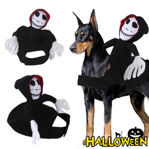 ybg nEB  ybg̗Ḧߑ ybg}g ybg }g hXJWA ybgnEB}g nEBybgP[v ƌ  ̕ ϐgߑ  |GXe