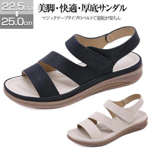 fB[X T_  ANXgbv }WbNe[v X|[cT_ RtH[g _炩 ₷ AEghA s RtH[gT_ fB[X  }}T