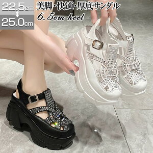 T_ fB[X ₷ T_ Xj[J[  LL T_ fB[X Xj[J[ OJT_ RtH[gT_ PUU[ ₷ ČC t V