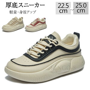 Xj[J[ _CGbgXj[J[ fB[X O JWAV[Y lԍHw r L y ʋC K ~ jOV[Y EH[LOV[Y ^C 