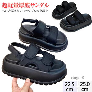 T_  T_ fB[X  X|[cT_ V[Y T_ fB[XV[Y y 5cm  V[Y }WbNe[v RtH[g X|T ~ fB[X 