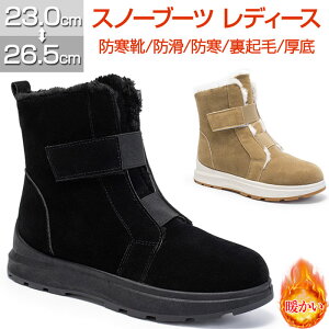 Xm[u[c fB[X Ȃ Xm[V[Y hC h h N  ȌC C ubN  g ~p JWA ʋΒʊw ₷ t@[u[c EB^[u[c