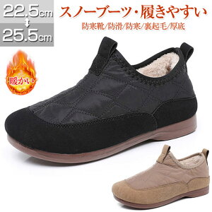 Xb| fB[X ~ Xm[u[c fB[X Y Xm[V[Y jp hC {A N u[c hC tbgq[  Xb| ₷ ₷ g 