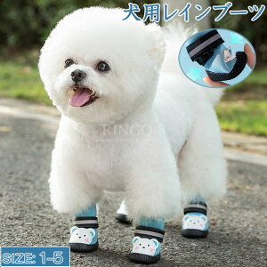 pCu[c 4Zbg pCV[Y hbOV[Y ^ ^ ybgV[Y C }WbNe[v ʃt@Xi[ S n u[ Vv 킢 L[g o 