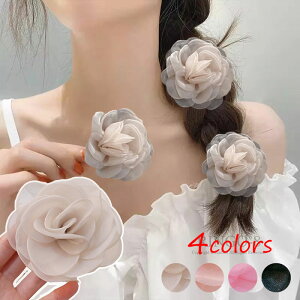 u2_ZbgvwAANZT[ fB[X  l U wANbv ܂ݍ׍H  ܎O    a Ǝ    wAANZT ؂₩ 킢 l a