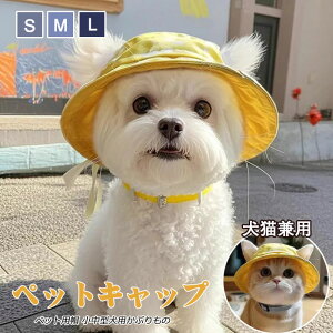  L Xq 悯 O EȂ o  uvJbg Lbv 킢 TCY߉\ L ̖Xq  ăoeh~  h h pXq M ^ ^ ^ L AEg